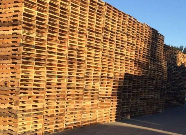 Used 40x48 wooden pallets stacked at Pallet Recycling Guys Surrey BC yard